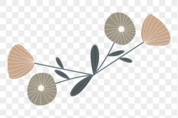 Aesthetic Autumn flowers png sticker, | Free PNG - rawpixel