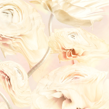 Aesthetic background, trippy beige buttercup… | Free stock illustration | High Resolution graphic