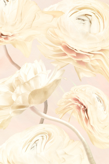 Aesthetic background, trippy beige buttercup… | Free stock illustration | High Resolution graphic