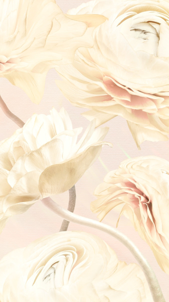 Aesthetic background, trippy beige buttercup… | Free stock illustration | High Resolution graphic