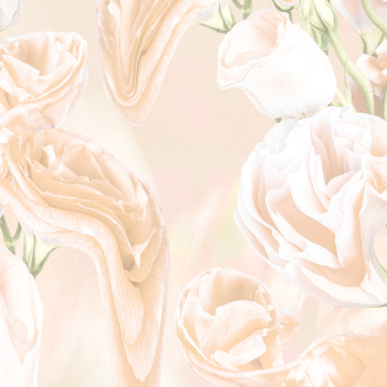 Aesthetic background, trippy beige rose… | Free stock illustration | High Resolution graphic