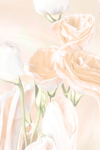 Aesthetic background, trippy beige rose… | Free stock illustration | High Resolution graphic