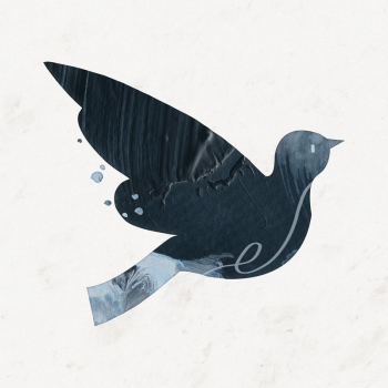 Aesthetic bird, paint texture silhouette | Free Photo Illustration - rawpixel Aesthetic bird, paint texture silhouette | Free Photo Illustration - rawpixel