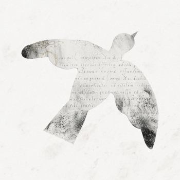 Aesthetic bird, vintage letter texture | Free Photo Illustration - rawpixel Aesthetic bird, vintage letter texture | Free Photo Illustration - rawpixel