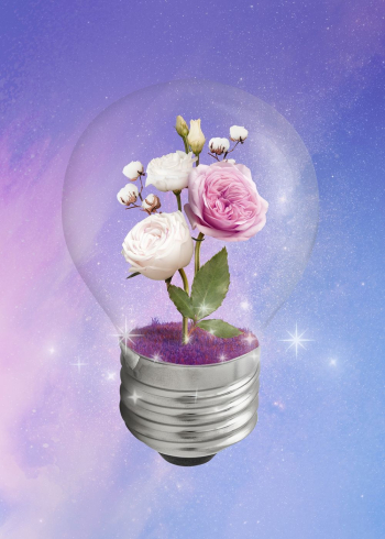 Aesthetic blooming flowers in light | Free Photo - rawpixel Aesthetic blooming flowers in light | Free Photo - rawpixel