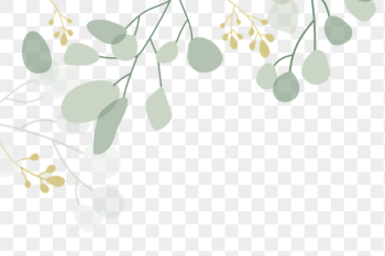 Aesthetic botanical png border, transparent | Free PNG - rawpixel