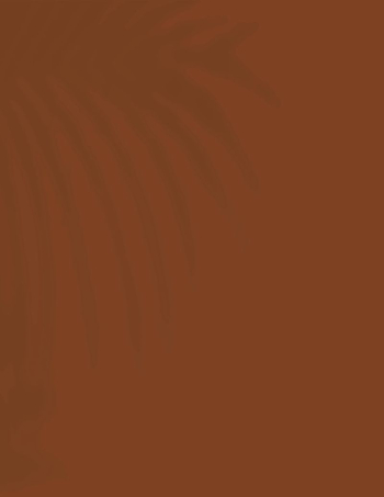 Aesthetic brown background, tropical palm | Free Photo - rawpixel Aesthetic brown background, tropical palm | Free Photo - rawpixel