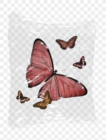 Aesthetic butterflies png plastic bag | Free PNG - rawpixel