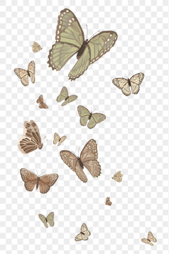 Aesthetic butterfly border png sticker | Free PNG - rawpixel Aesthetic butterfly border png sticker | Free PNG - rawpixel