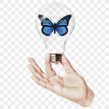 Aesthetic butterfly png sticker, hand | Free PNG - rawpixel