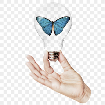 Aesthetic butterfly png sticker, hand | Free PNG - rawpixel
