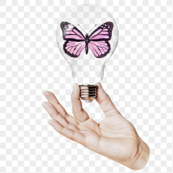 Aesthetic butterfly png sticker, hand | Free PNG - rawpixel