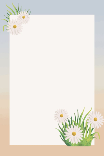 Aesthetic Daisy flower frame background, | Free Photo - rawpixel Aesthetic Daisy flower frame background, | Free Photo - rawpixel