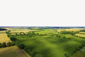 Aesthetic farm background, agriculture border | Free PSD - rawpixel Aesthetic farm background, agriculture border | Free PSD - rawpixel
