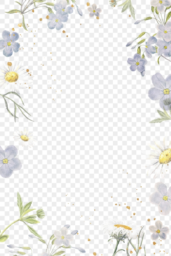 Aesthetic flower png frame, transparent | Free PNG - rawpixel