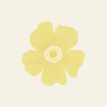 Aesthetic flower sticker, yellow collage | Free Vector - rawpixel Aesthetic flower sticker, yellow collage | Free Vector - rawpixel