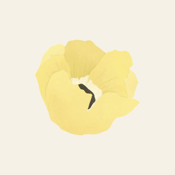 Aesthetic flower sticker, yellow collage | Free Vector - rawpixel Aesthetic flower sticker, yellow collage | Free Vector - rawpixel
