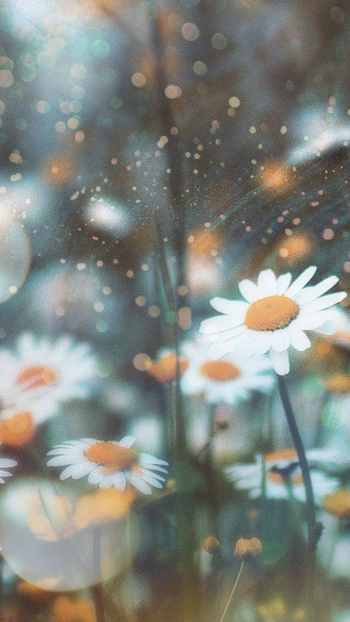 Aesthetic flowers mobile wallpaper, floral | Free Photo - rawpixel Aesthetic flowers mobile wallpaper, floral | Free Photo - rawpixel