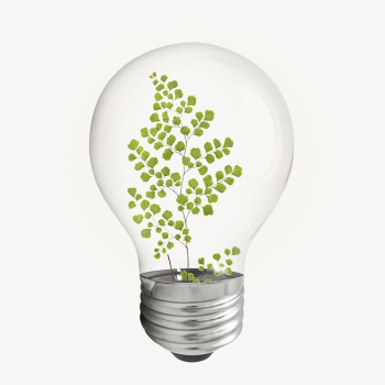 Aesthetic ginkgo leaf bulb, botanical | Free PSD - rawpixel Aesthetic ginkgo leaf bulb, botanical | Free PSD - rawpixel
