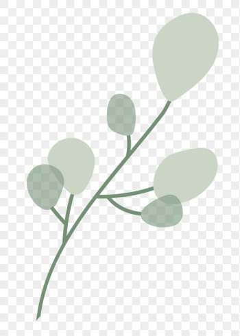 Aesthetic leaf branch png sticker, | Free PNG - rawpixel