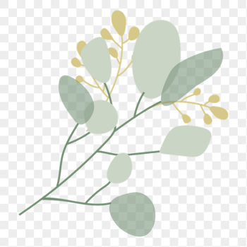 Aesthetic leaf branch png sticker, | Free PNG - rawpixel