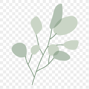 Aesthetic leaf branch png sticker, | Free PNG - rawpixel