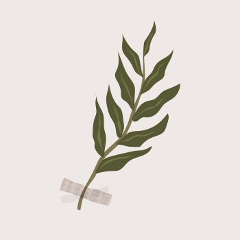 Aesthetic leaf collage element, botanical | Free PSD Illustration - rawpixel