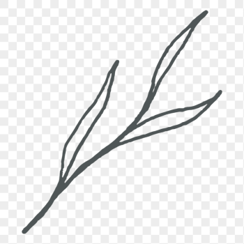 Aesthetic leaf doodle png sticker, | Free PNG - rawpixel