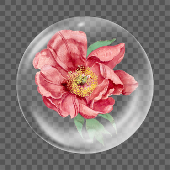 Aesthetic peony png sticker, vintage | Free PNG - rawpixel