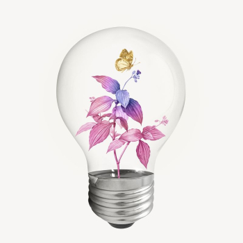 Aesthetic pink leaf bulb, botanical | Free PSD - rawpixel Aesthetic pink leaf bulb, botanical | Free PSD - rawpixel