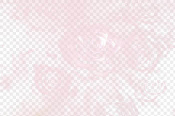 Aesthetic png rose background, floral | Free PNG - rawpixel