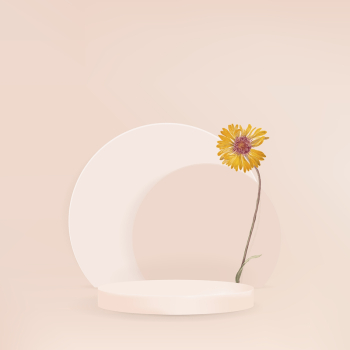 Aesthetic product backdrop background, 3D | Free Photo - rawpixel Aesthetic product backdrop background, 3D | Free Photo - rawpixel
