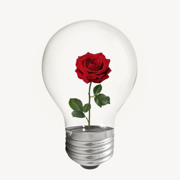 Aesthetic rose bulb, flower, Valentine's | Free PSD - rawpixel Aesthetic rose bulb, flower, Valentine's | Free PSD - rawpixel