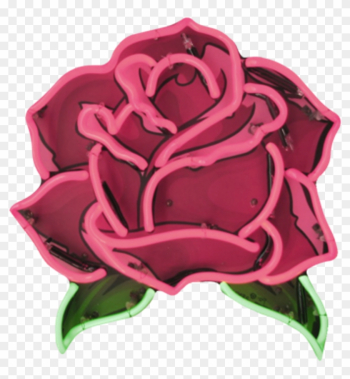 Aesthetic Roses Png Aesthetic Roses Png