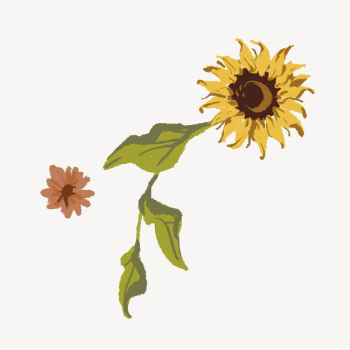 Aesthetic sunflower flower collage element | Free Vector - rawpixel