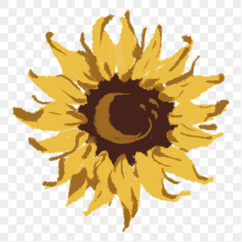 Aesthetic sunflower flower png sticker, | Free PNG - rawpixel