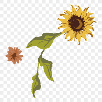 Aesthetic sunflower flower png sticker, | Free PNG - rawpixel