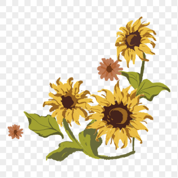 Aesthetic sunflower flower png sticker, | Free PNG - rawpixel