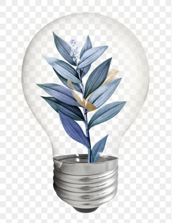 Aesthetic winter png leaf bulb | Free PNG - rawpixel Aesthetic winter png leaf bulb | Free PNG - rawpixel