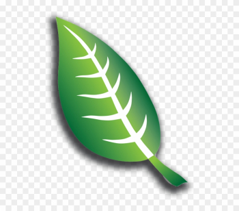 Afmte Leaf - Leaf Symbol Afmte Leaf - Leaf Symbol
