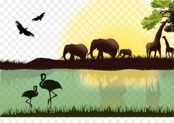 Africa Giraffe Lion Animal - Vector Jungle Tour Africa Giraffe Lion Animal - Vector Jungle Tour