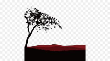 Africa Temperate grasslands, savannas, and shrublands - African grasslands 