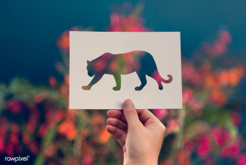 African animal animals | Free stock photo - 92241 African animal animals | Free stock photo - 92241