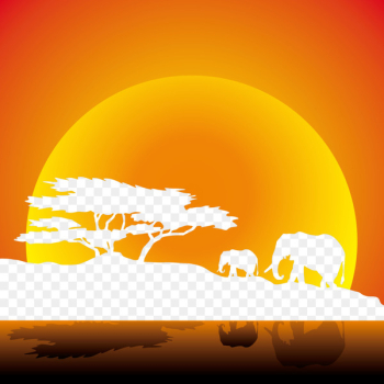 African elephant Savanna - Elephants African savannah sunset African elephant Savanna - Elephants African savannah sunset