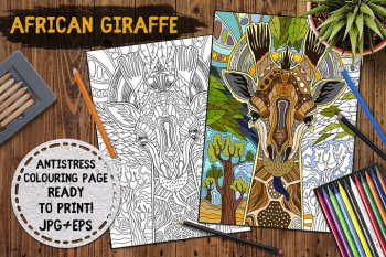 African Giraffe African Giraffe