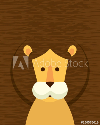 african lion wild animal african lion wild animal