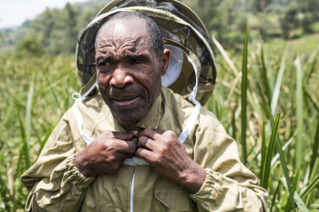African man wearing beekeeping suit, | Free Photo - rawpixel African man wearing beekeeping suit, | Free Photo - rawpixel