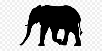 African, Nature, Big, Character - Zoo Animal Silhouettes Transparent