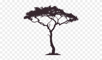African Tree Decal - Trees In Africa Drawing African Tree Decal - Trees In Africa Drawing
