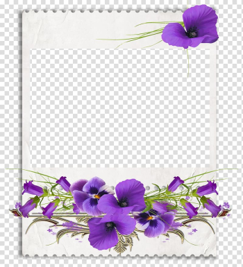 African violets , flower frames transparent background PNG clipart